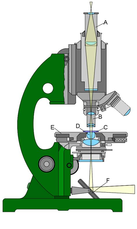 define magnification in microscope|3.1C: Refraction and Magnification .